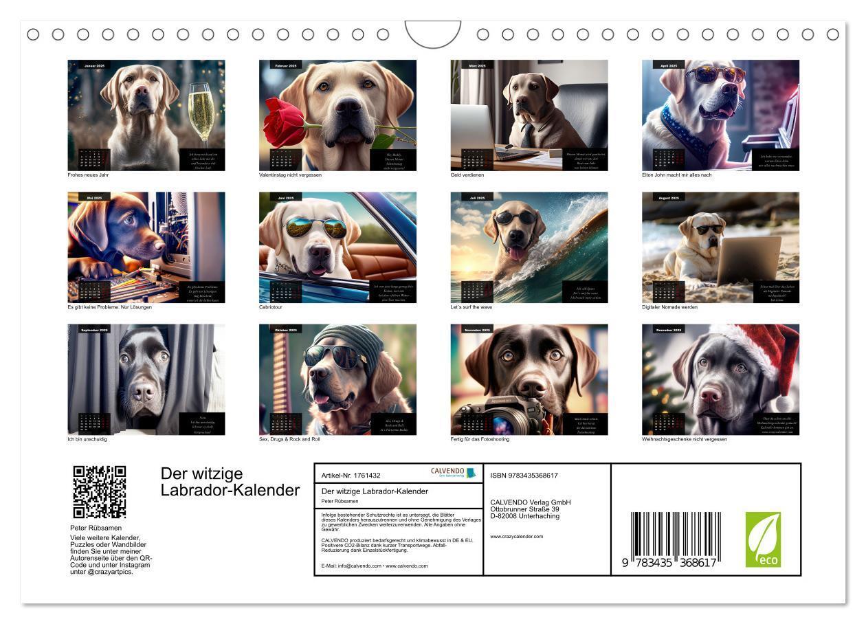 Bild: 9783435368617 | Der witzige Labrador-Kalender (Wandkalender 2025 DIN A4 quer),...