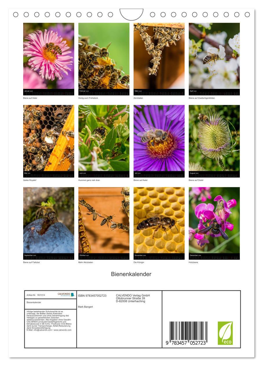 Bild: 9783457052723 | Bienenkalender (Wandkalender 2025 DIN A4 hoch), CALVENDO...