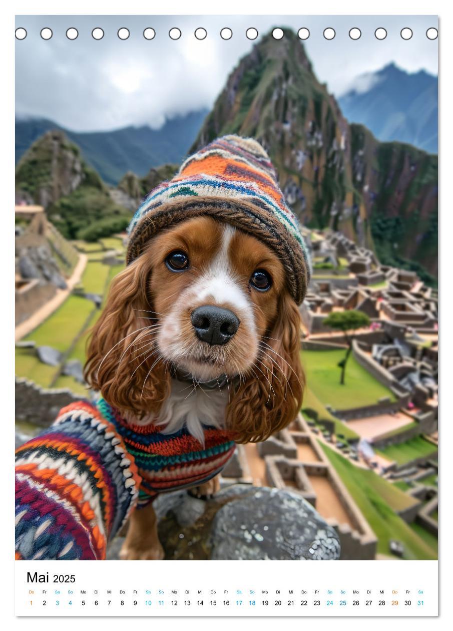 Bild: 9783383763489 | Cavalier King Charles Spaniel - Lustige Weltenreise im Selfie-Modus...