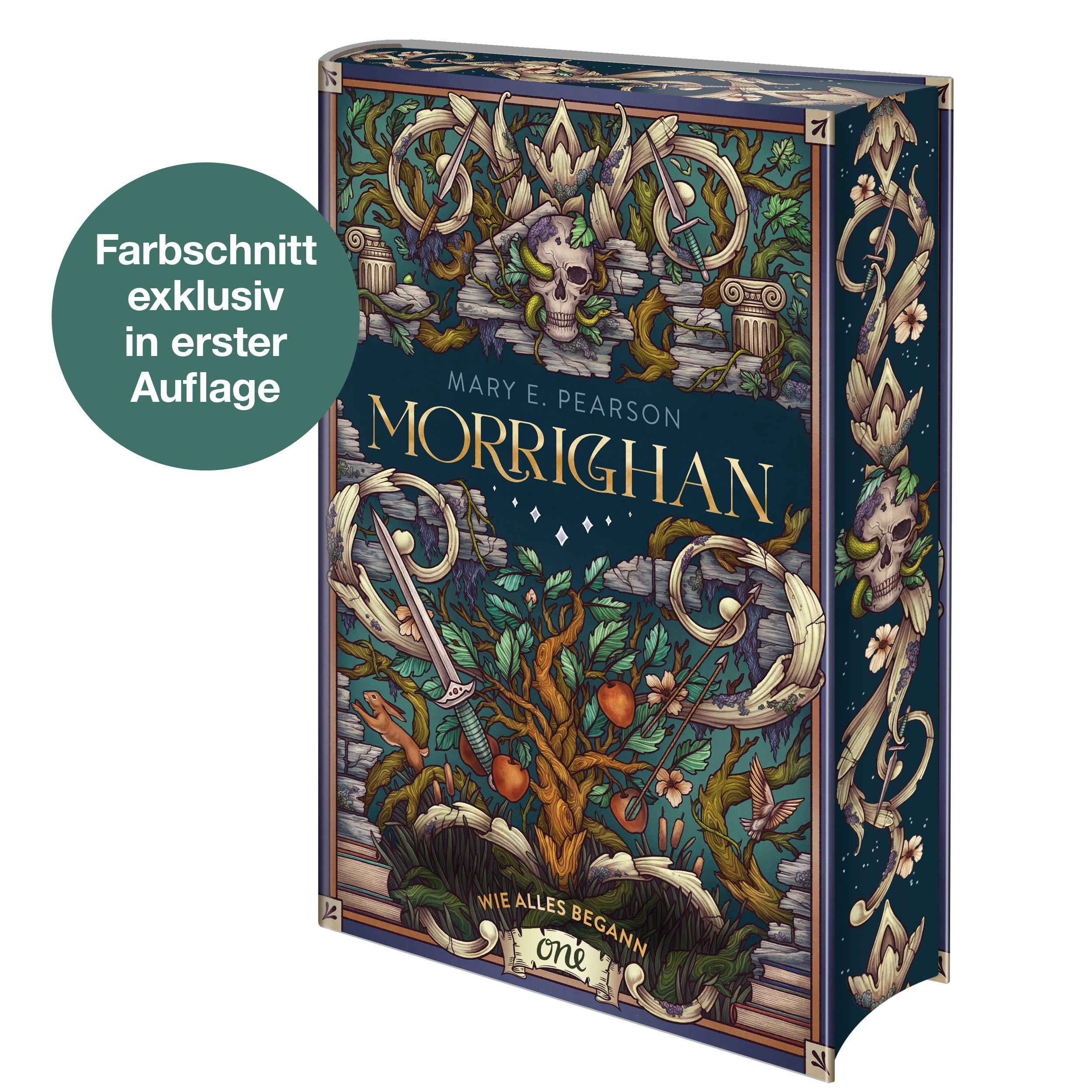 Cover: 9783846602317 | Morrighan - Wie alles begann | Mary E. Pearson | Buch | 240 S. | 2024