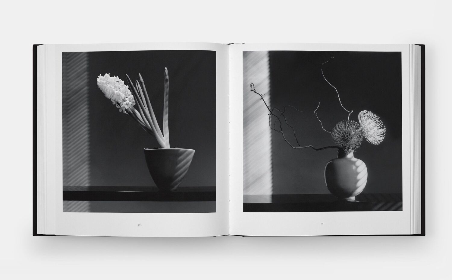 Bild: 9781838668211 | Mapplethorpe Flora | The Complete Flowers | Mapplethorpe (u. a.)