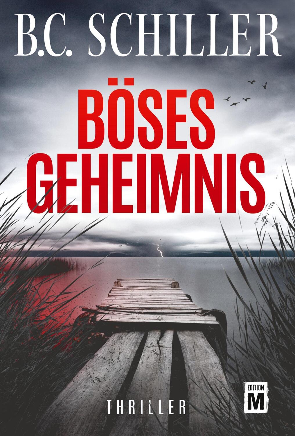 Cover: 9782919808137 | Böses Geheimnis | B. C. Schiller | Taschenbuch | Levi Kant | Paperback