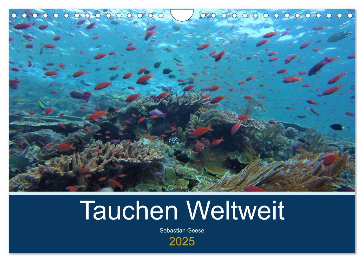 Cover: 9783435096664 | Tauchplätze Weltweit (Wandkalender 2025 DIN A4 quer), CALVENDO...