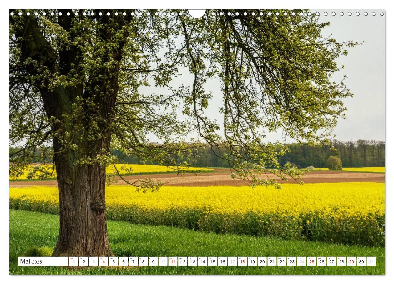 Bild: 9783435684731 | Die Wetterau - Landschaft und Kultur (Wandkalender 2025 DIN A3...