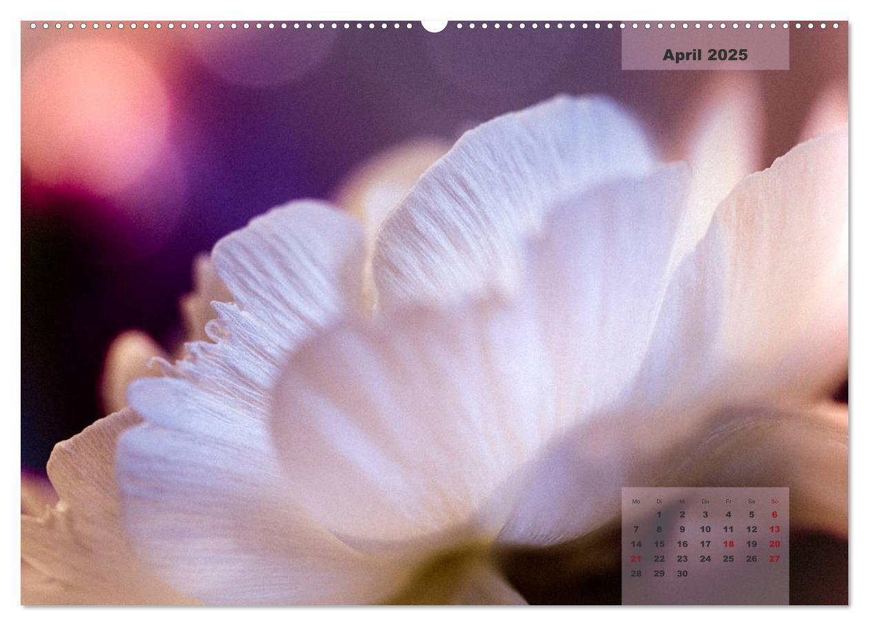 Bild: 9783435301829 | Blüten im Retro-Style (hochwertiger Premium Wandkalender 2025 DIN...