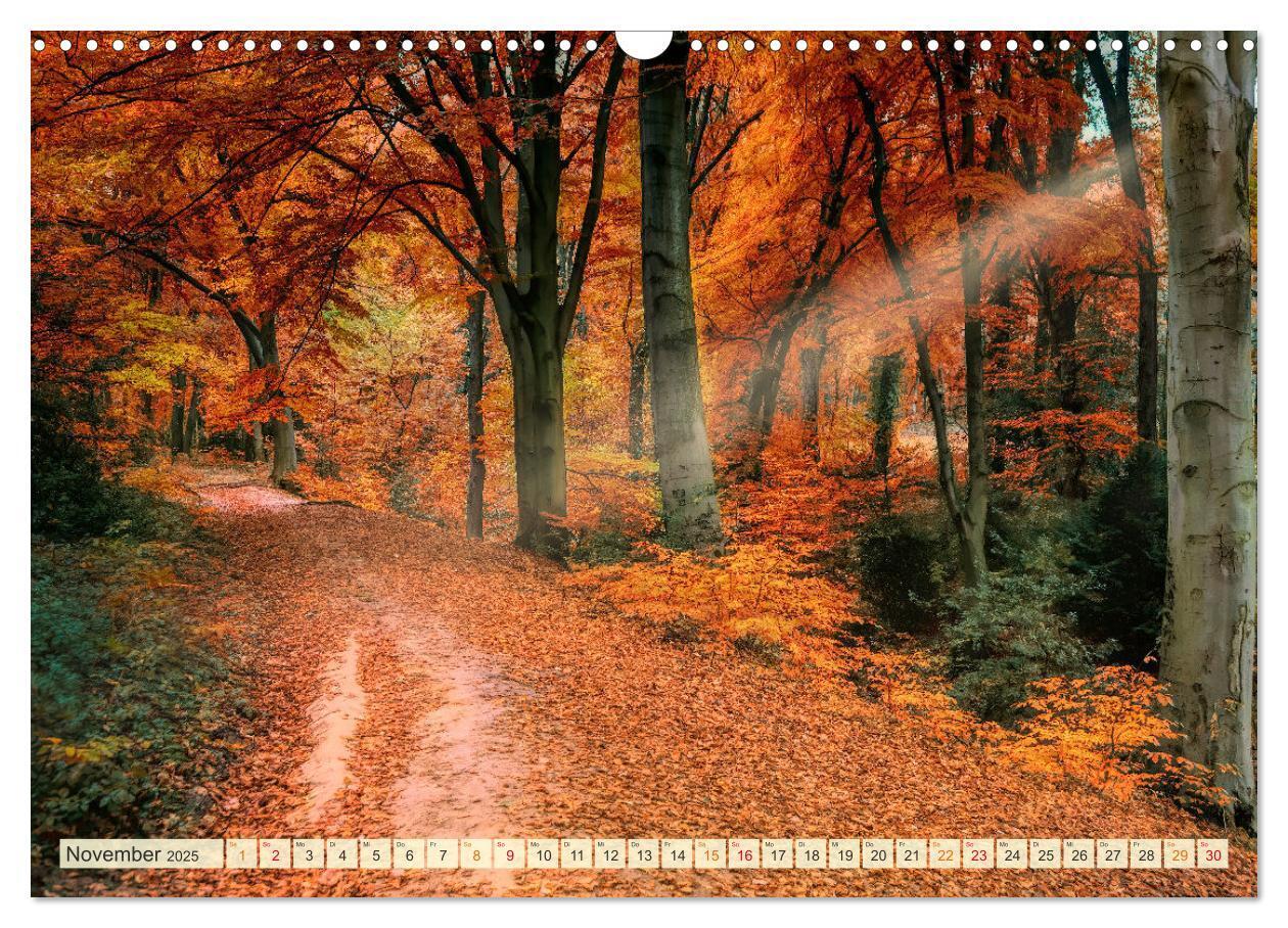 Bild: 9783435084036 | Traumwege entdecken (Wandkalender 2025 DIN A3 quer), CALVENDO...