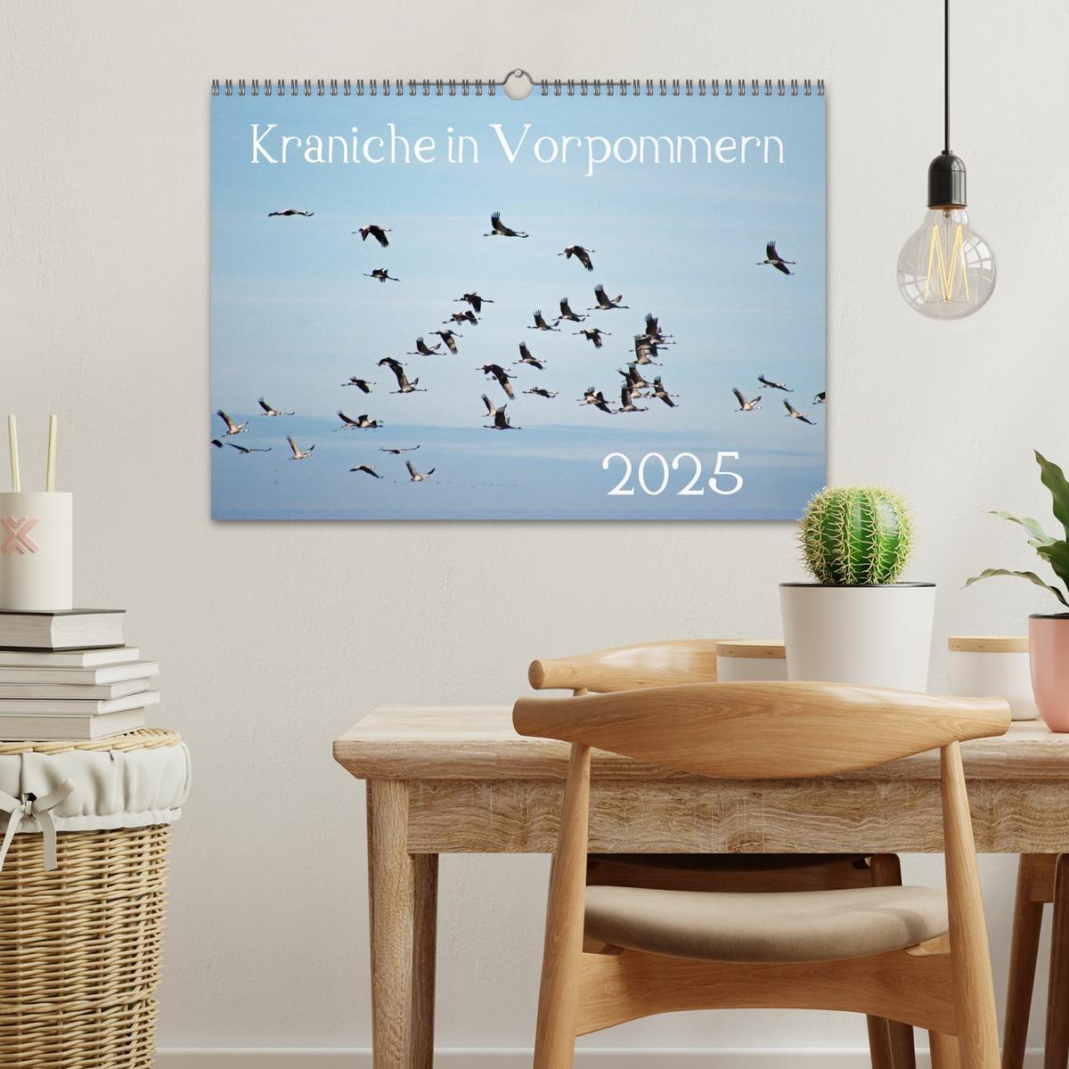 Bild: 9783435649228 | Kraniche in Vorpommern (Wandkalender 2025 DIN A3 quer), CALVENDO...