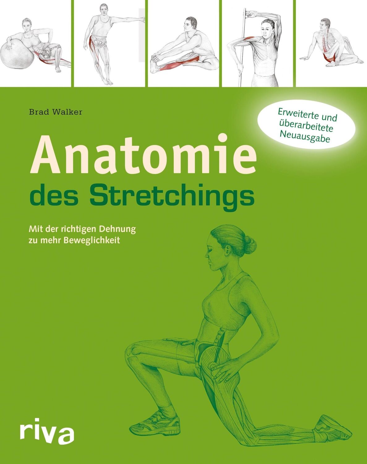 Cover: 9783868833652 | Anatomie des Stretchings | Brad Walker | Taschenbuch | 240 S. | 2014