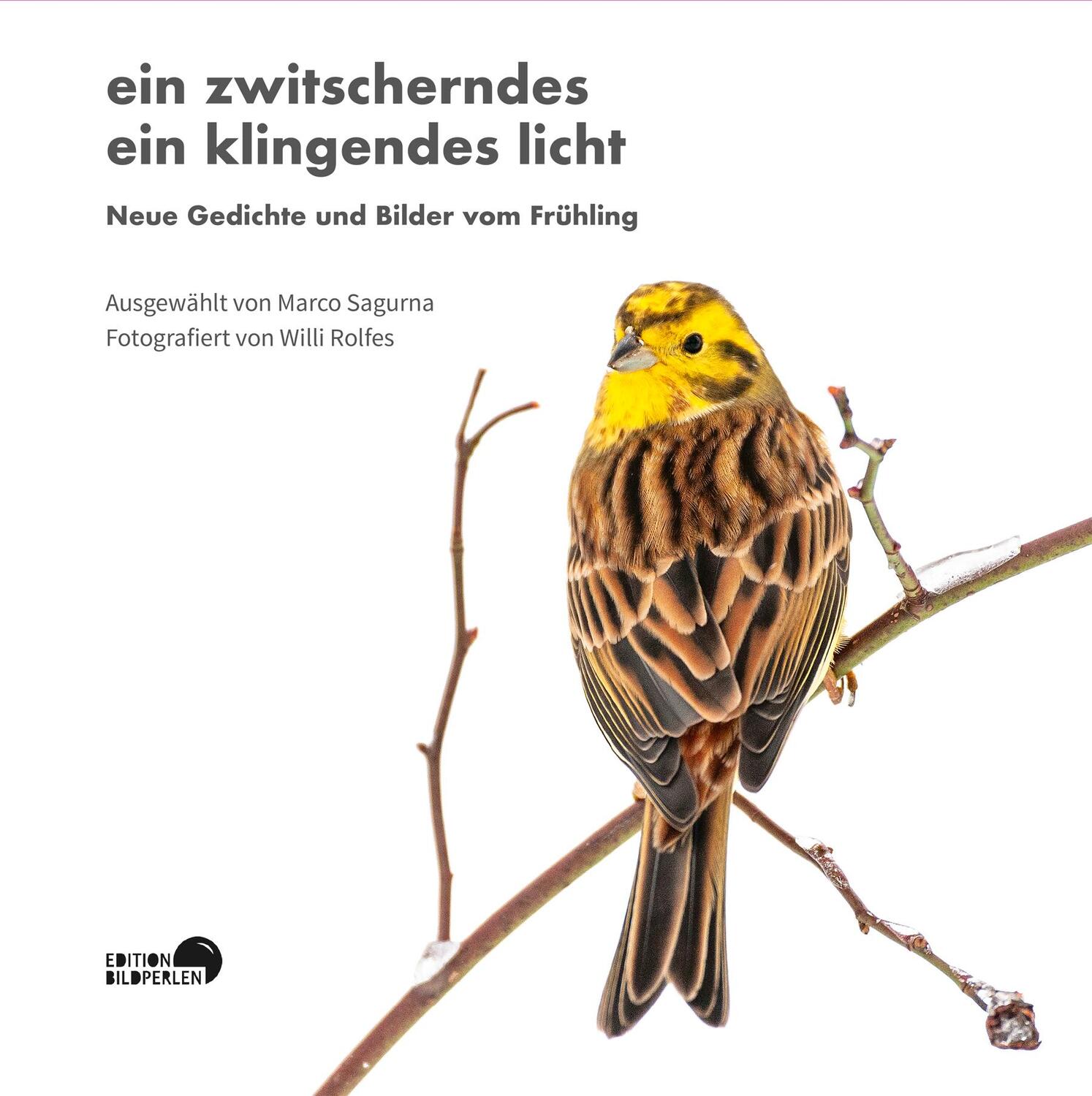 Cover: 9783965460140 | ein zwitscherndes ein klingendes licht | Michael ­Augustin (u. a.)