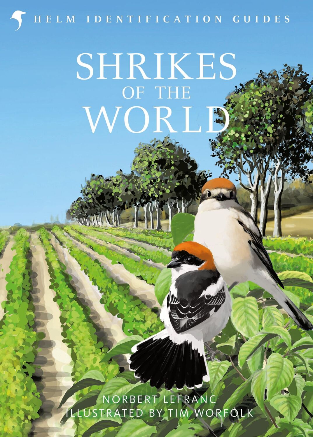 Cover: 9781472933775 | Shrikes of the World | THE BB/BTO BIRD BOOK OF THE YEAR | Lefranc