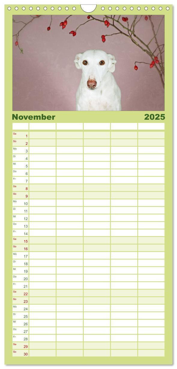 Bild: 9783457112526 | Familienplaner 2025 - Der Windhundekalender mit 5 Spalten...