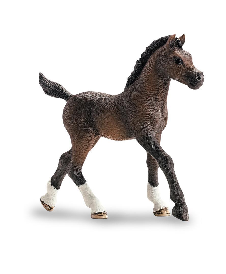 Bild: 9783960806080 | schleich® Horse Club(TM) - Meine Horse-Club-Box | Taschenbuch | 128 S.