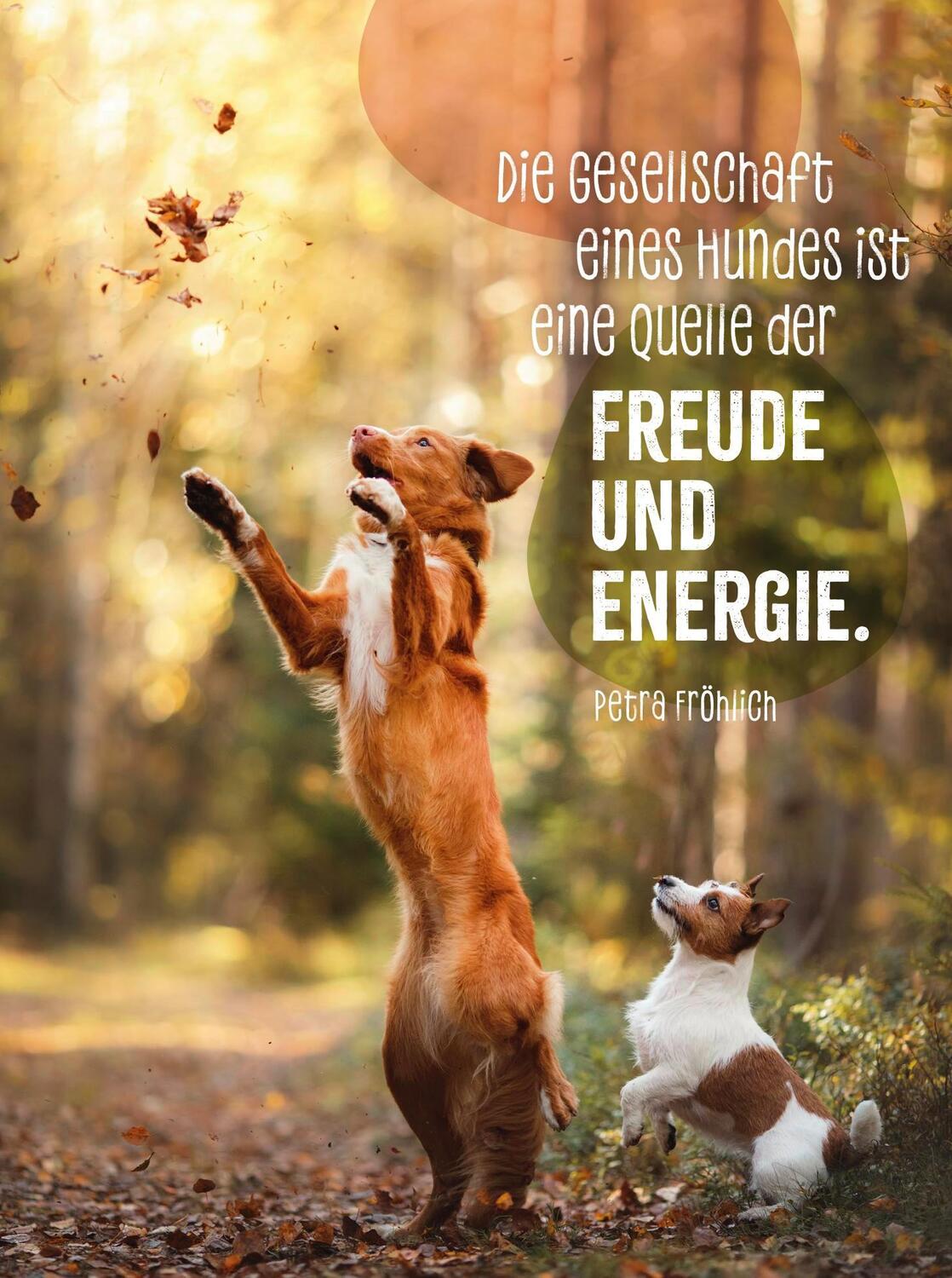 Bild: 9783848502349 | Hunde sind die besten Freunde | Groh Verlag | Taschenbuch | 48 S.