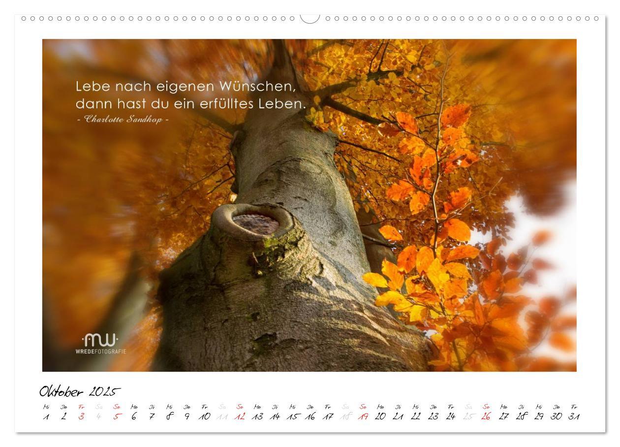 Bild: 9783435657629 | Gedanken... Bildkalender mit Sprüchen (Wandkalender 2025 DIN A2...