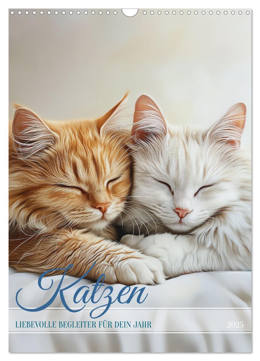 Cover: 9783457222195 | Katzen (Wandkalender 2025 DIN A3 hoch), CALVENDO Monatskalender | 2025