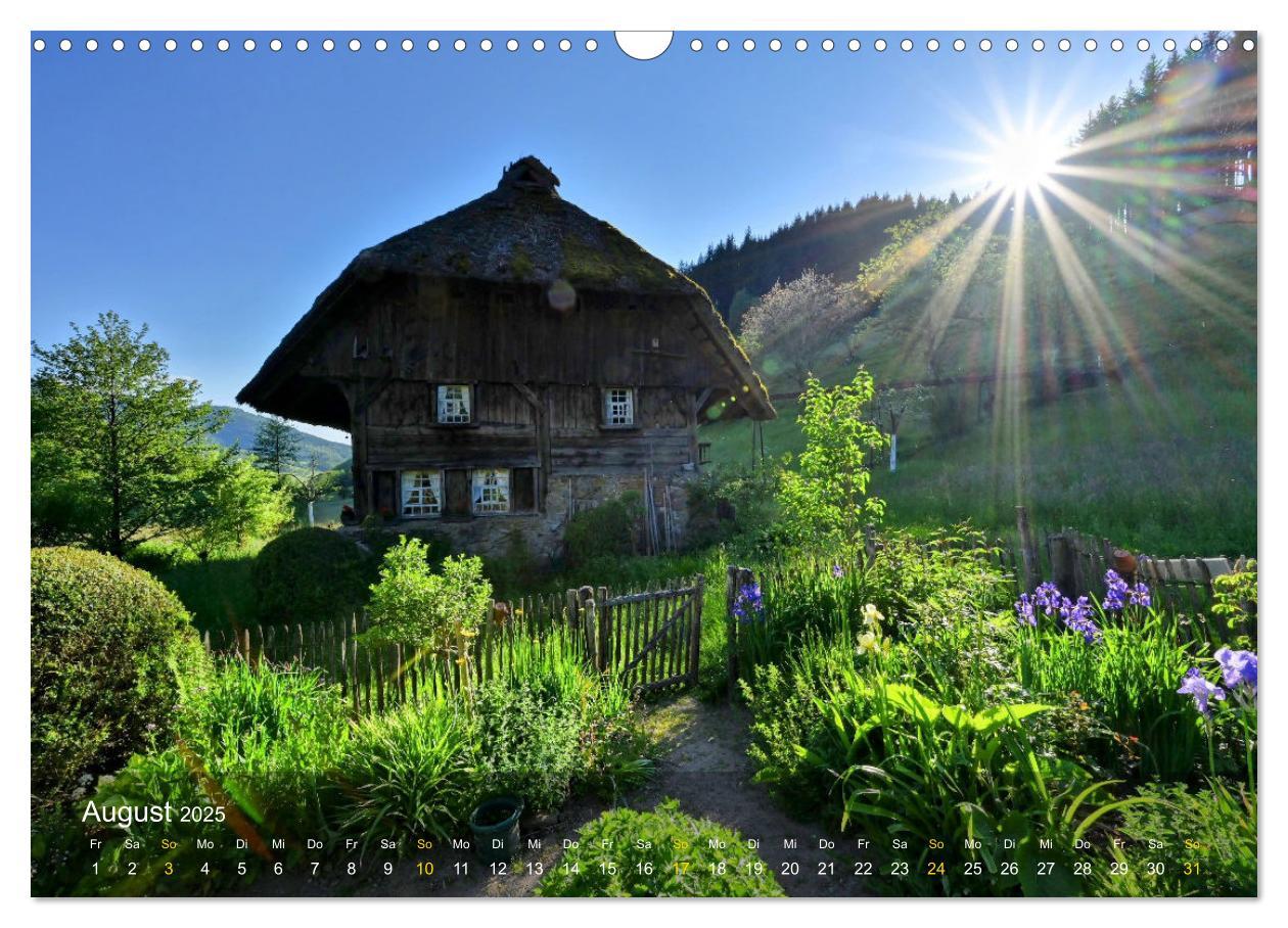 Bild: 9783457235447 | Faszination Schwarzwald (Wandkalender 2025 DIN A3 quer), CALVENDO...