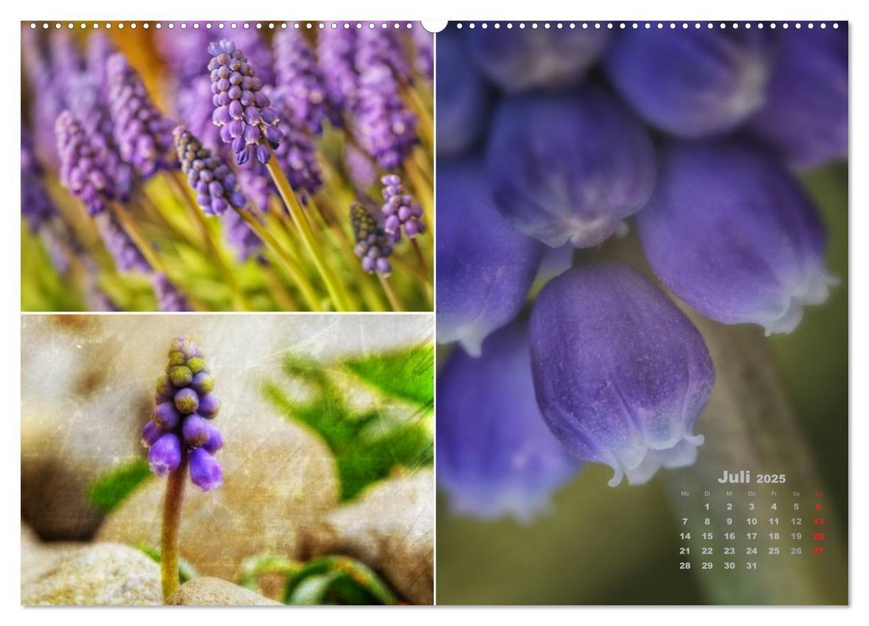 Bild: 9783435611713 | Blumenreise 2025 (Wandkalender 2025 DIN A2 quer), CALVENDO...