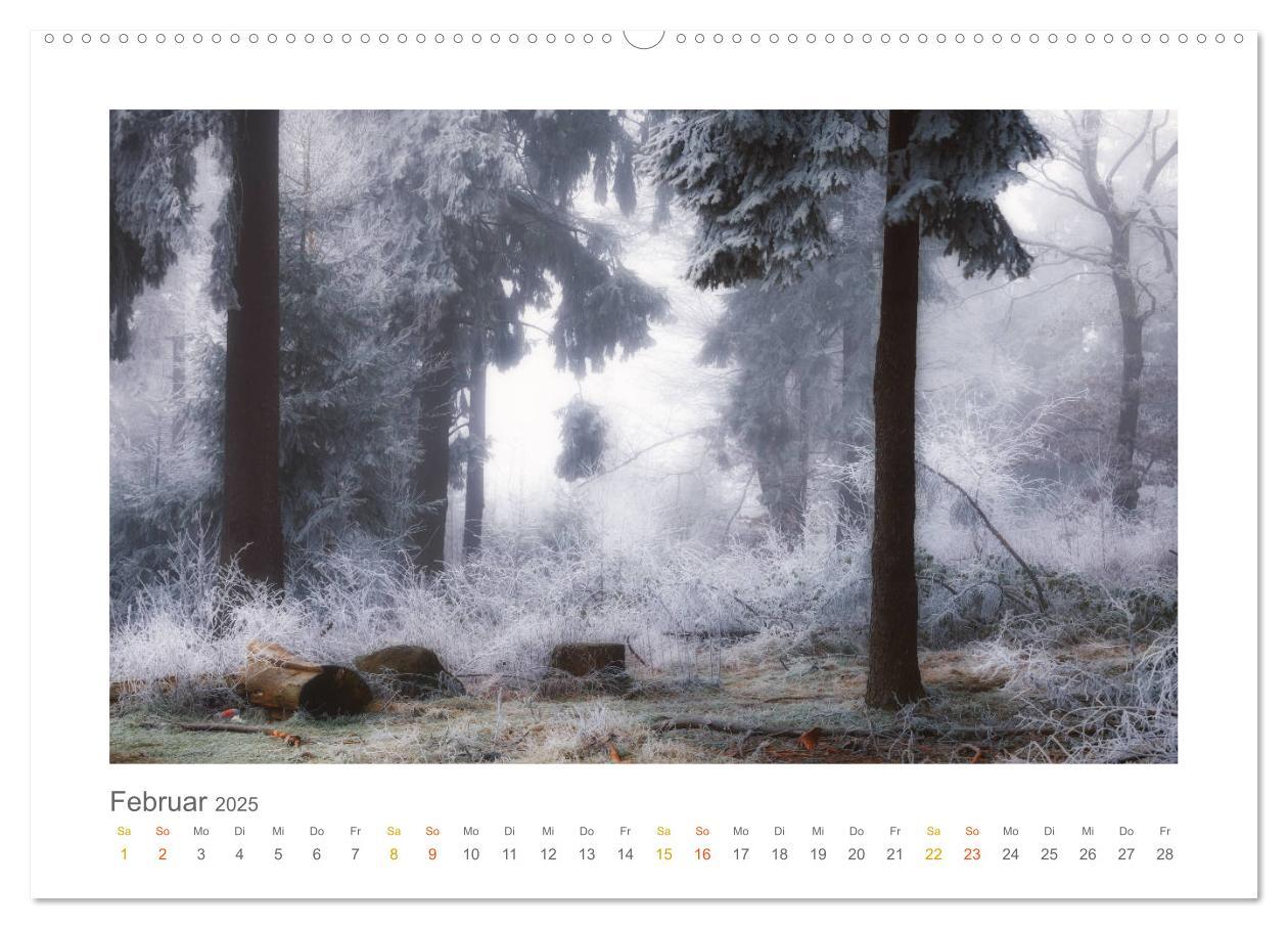 Bild: 9783435411092 | Im Märchenwald des Untertaunus (hochwertiger Premium Wandkalender...