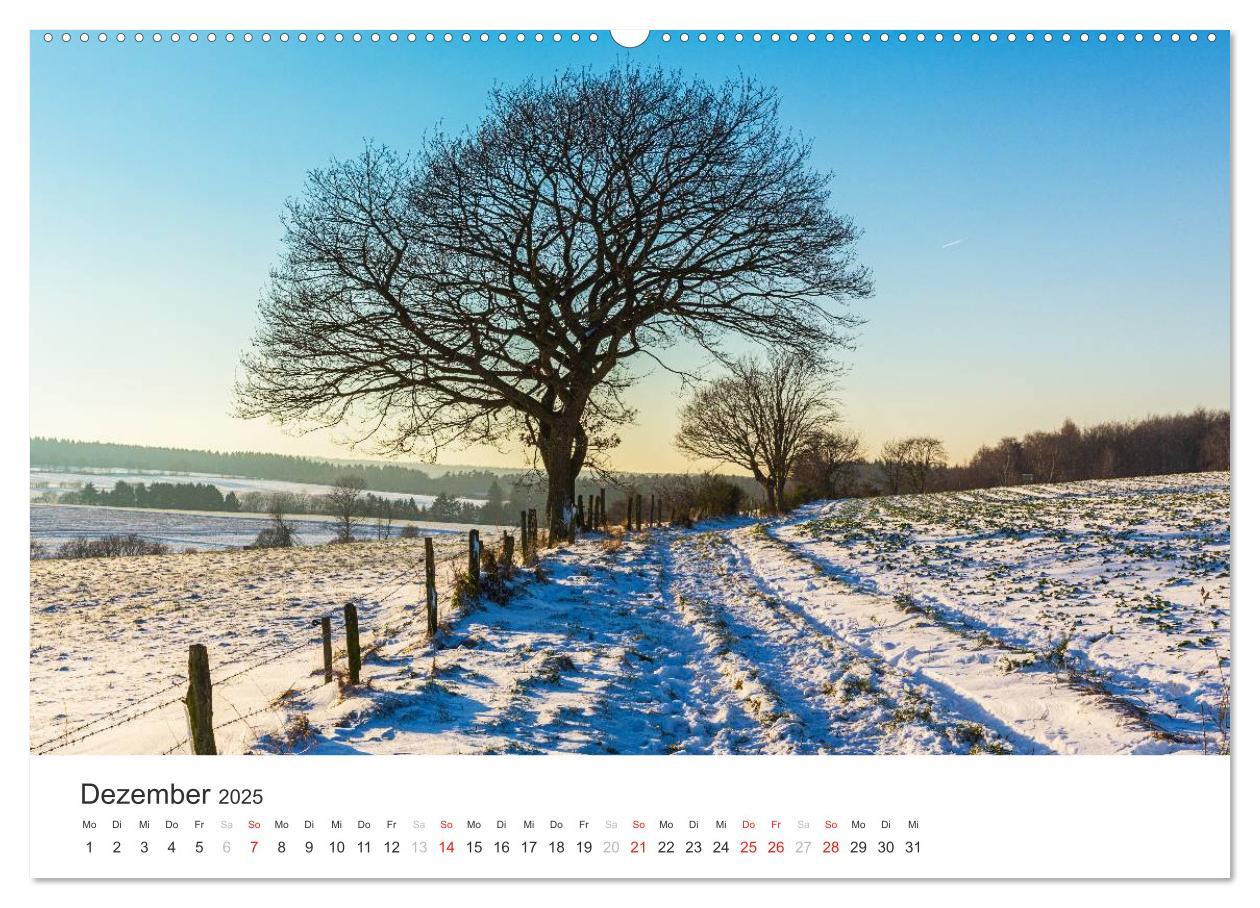 Bild: 9783435557394 | Blicke in die Eifel (Wandkalender 2025 DIN A2 quer), CALVENDO...