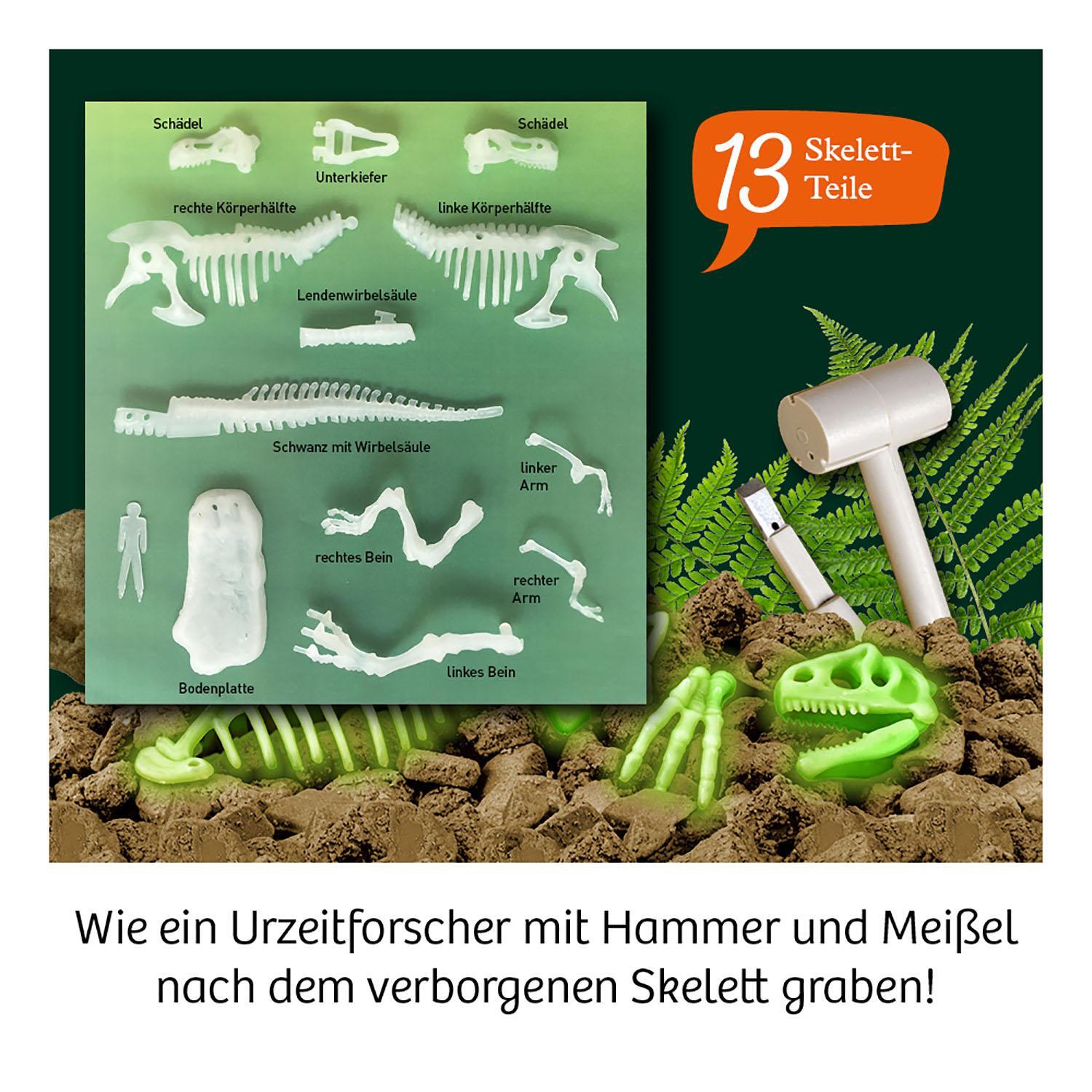 Bild: 4002051658021 | Nachtleuchtender T-REX | Ausgrabungs-Set | Spiel | 658021 | Deutsch