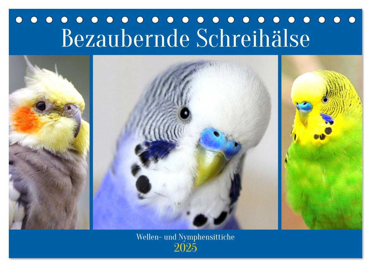 Cover: 9783435025725 | Bezaubernde Schreihälse. Wellen- und Nymphensittiche (Tischkalender...