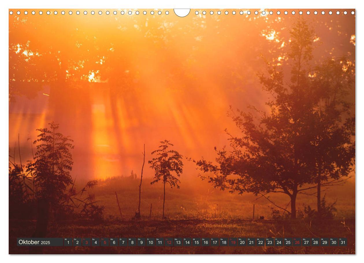 Bild: 9783435158133 | Leben am Naturpark um den Dümmer See (Wandkalender 2025 DIN A3...