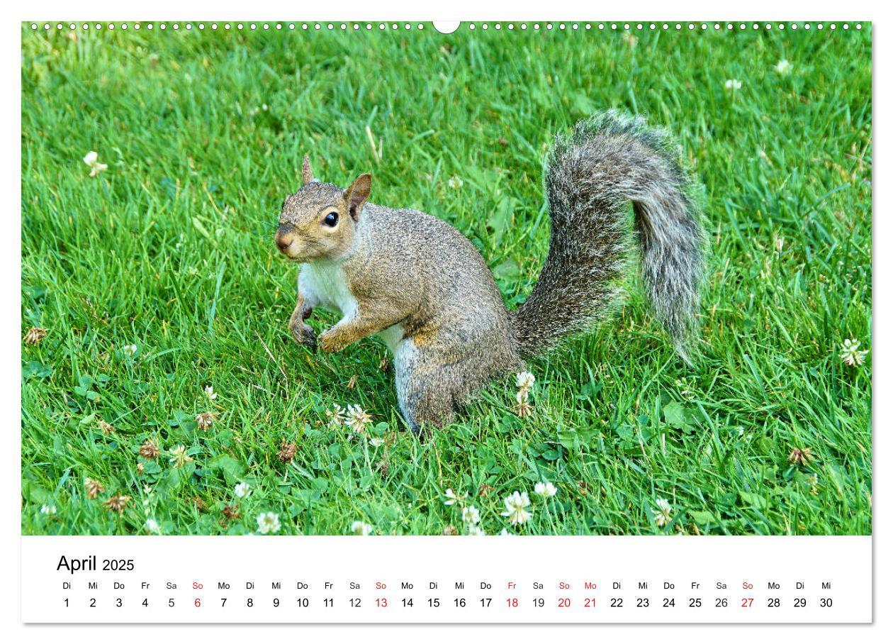 Bild: 9783435232086 | Ontario - Der Süden (Wandkalender 2025 DIN A2 quer), CALVENDO...