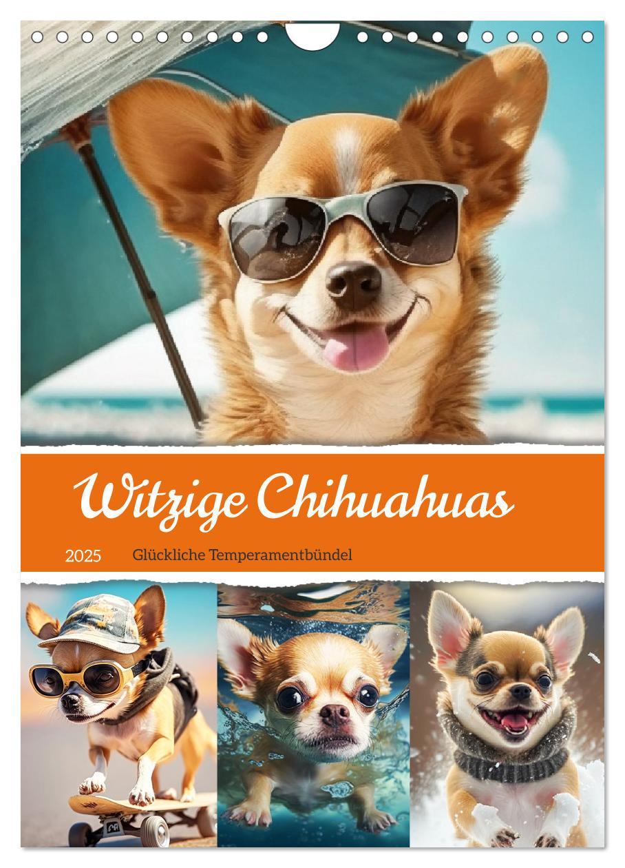 Cover: 9783435871766 | Witzige Chihuahuas. Glückliche Temperamentbündel (Wandkalender 2025...