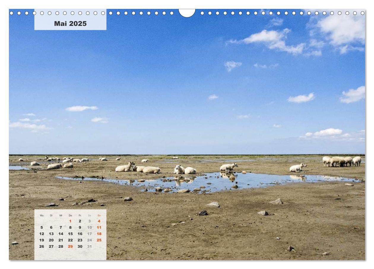 Bild: 9783435804559 | Nord-Ostsee Impressionen (Wandkalender 2025 DIN A3 quer), CALVENDO...