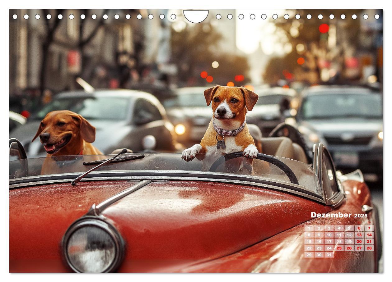 Bild: 9783457211748 | Süße Hunde cruisen - durch das Jahr mit dem Hundekalender...