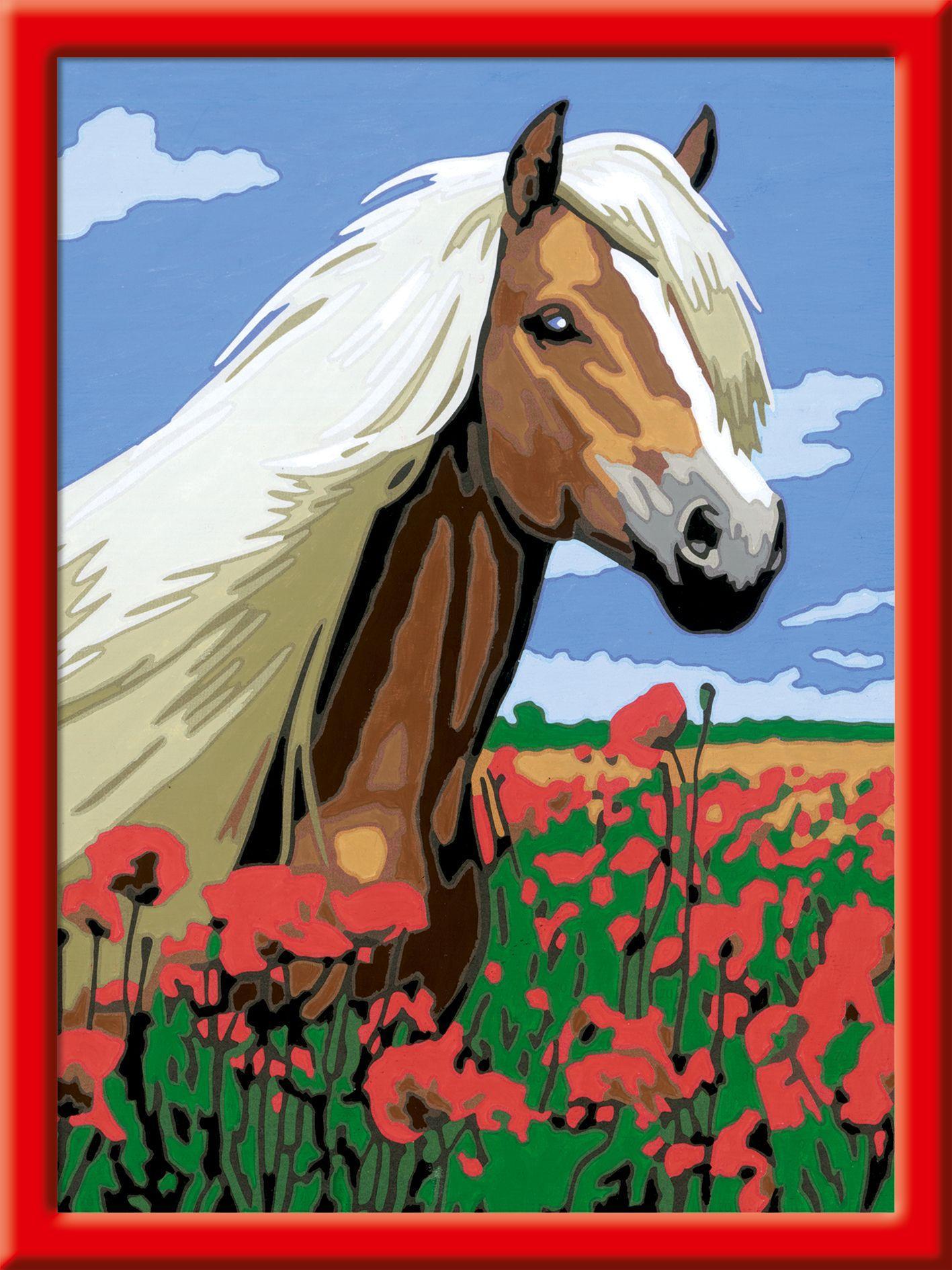 Bild: 4005556286522 | Haflinger. Malen nach Zahlen Serie D Pferde | Spiel | 28652 | Deutsch