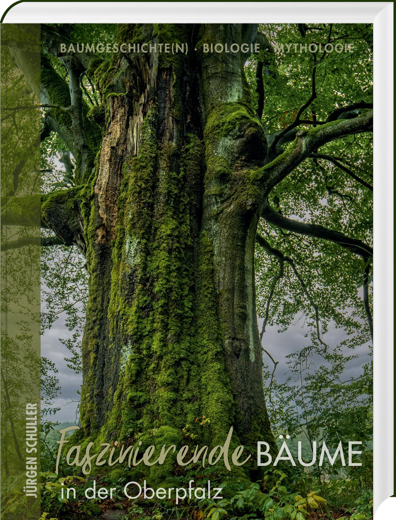 Cover: 9783955870942 | Faszinierende Bäume in der Oberpfalz | Jürgen Schuller | Buch | 176 S.