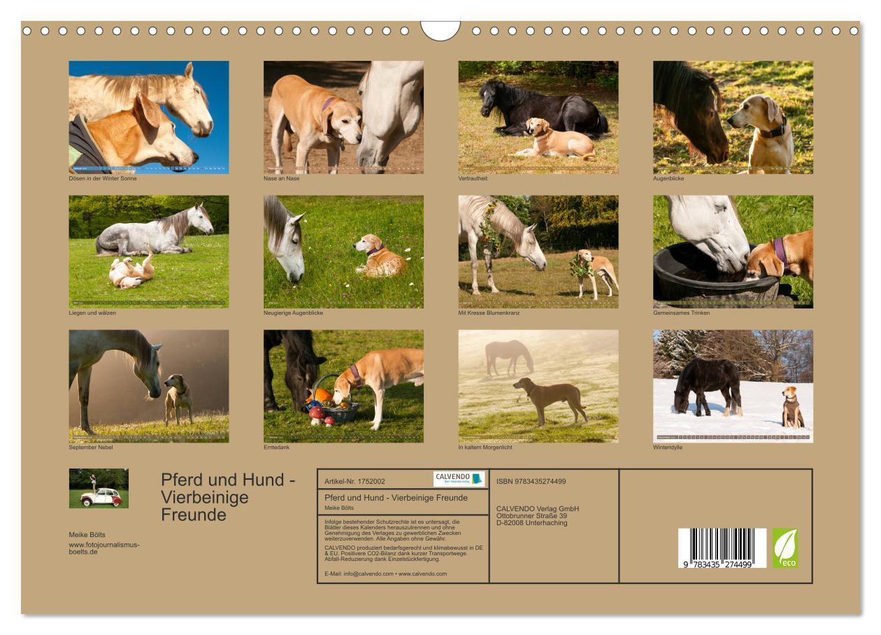 Bild: 9783435274499 | Pferd und Hund - Vierbeinige Freunde (Wandkalender 2025 DIN A3...