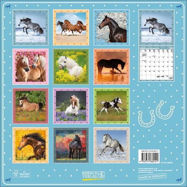 Bild: 9783731880141 | Pferdekalender 2025 | Verlag Korsch | Kalender | 13 S. | Deutsch