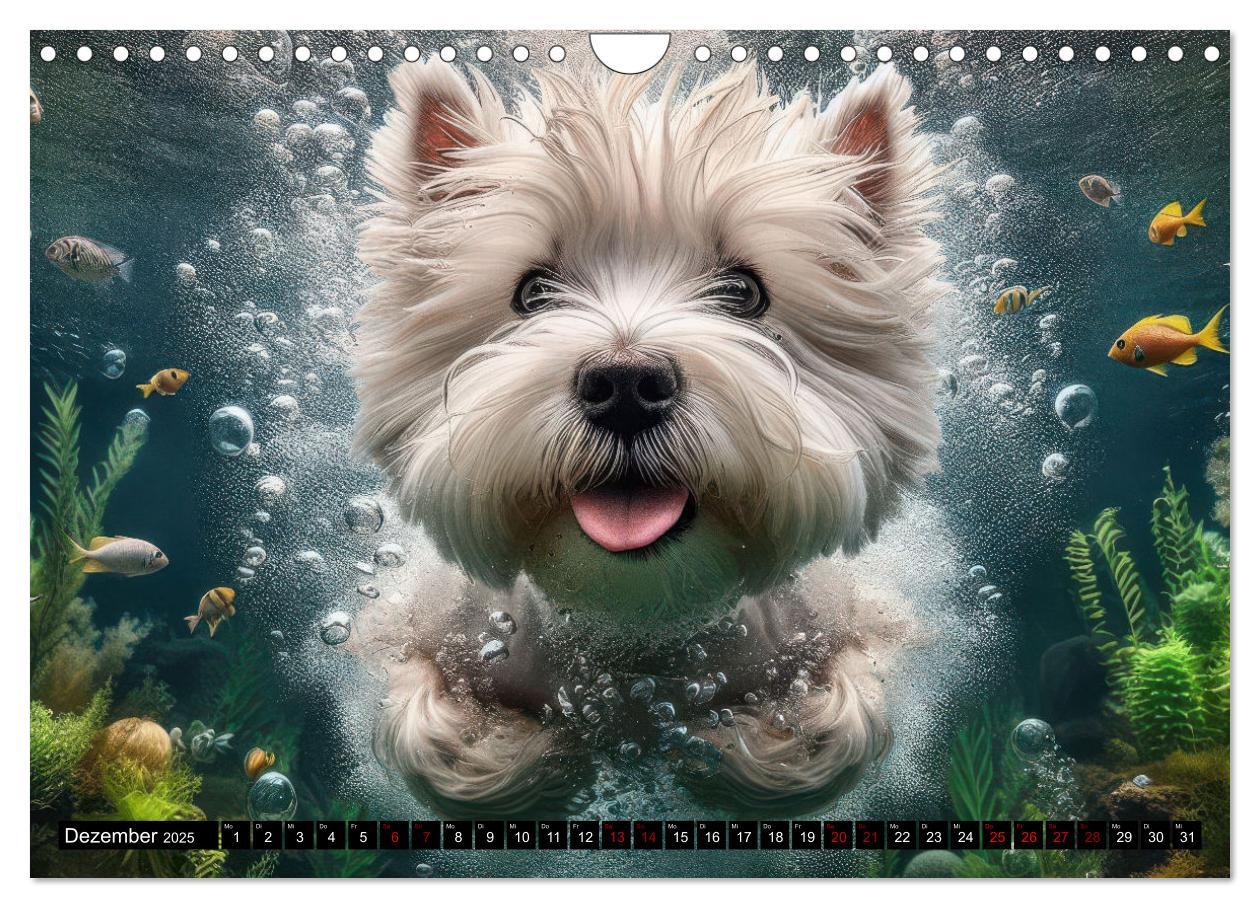 Bild: 9783457150429 | Badespaß - Hunde unter Wasser (Wandkalender 2025 DIN A4 quer),...