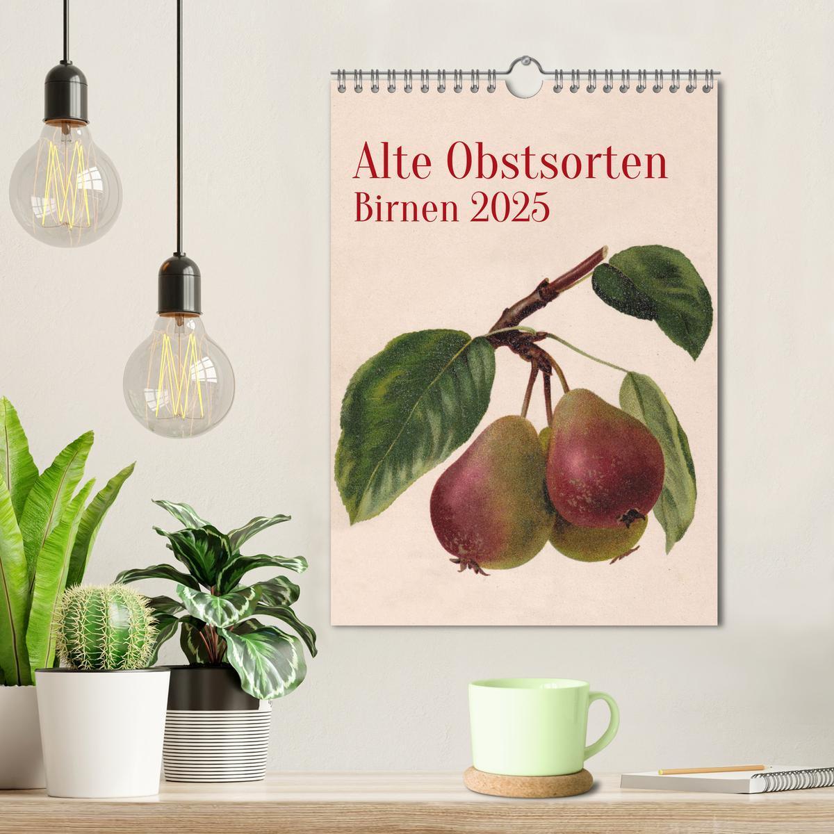 Bild: 9783435851669 | Alte Obstsorten - Birnen 2025 (Wandkalender 2025 DIN A4 hoch),...