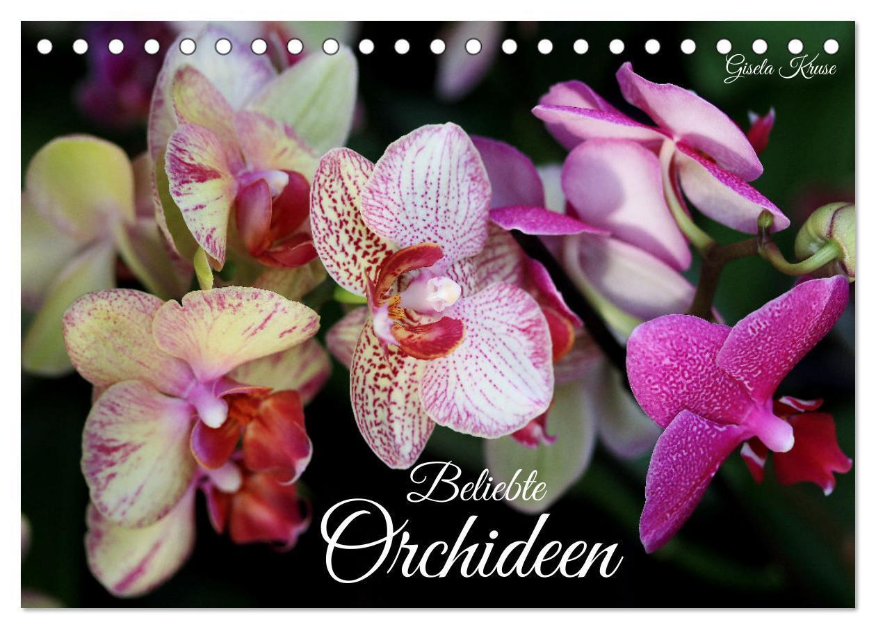 Cover: 9783383765131 | Beliebte Orchideen (Tischkalender 2025 DIN A5 quer), CALVENDO...