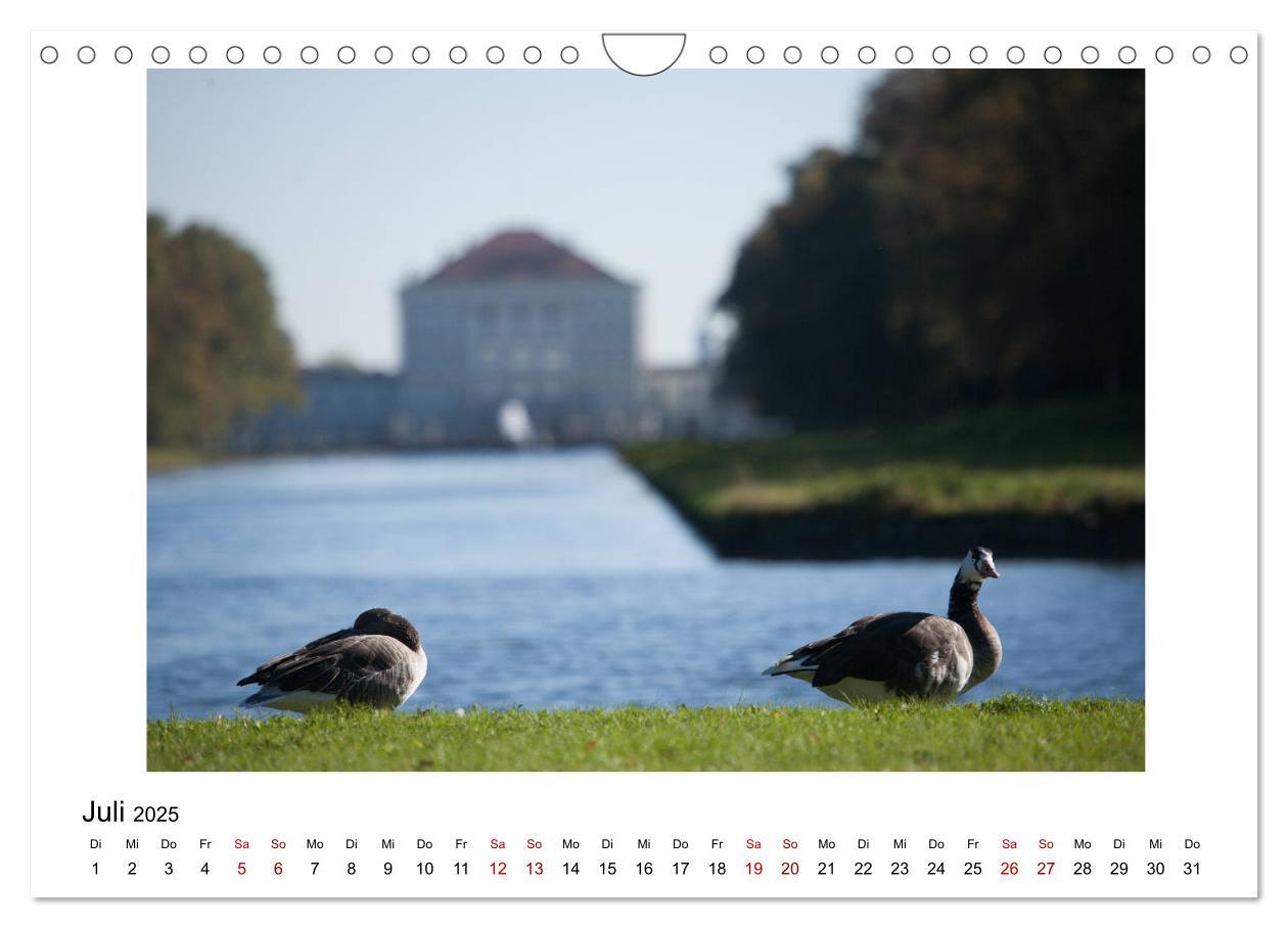 Bild: 9783435377282 | Nymphenburger Park (Wandkalender 2025 DIN A4 quer), CALVENDO...