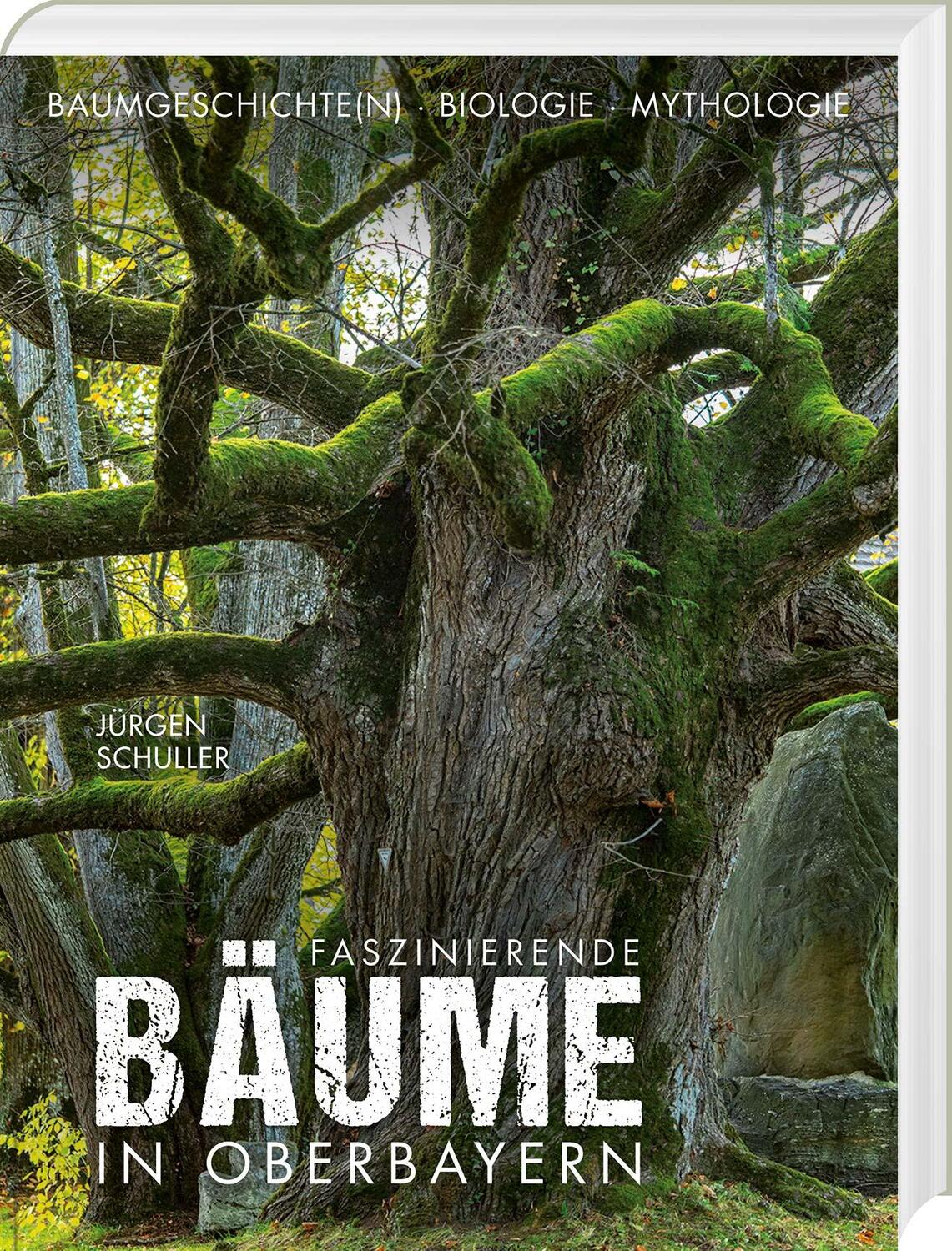 Cover: 9783892515418 | Faszinierende Bäume in Oberbayern | Jürgen Schuller | Buch | 208 S.