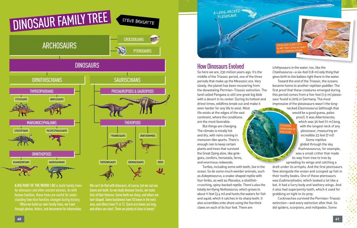 Bild: 9781426331404 | Absolute Expert: Dinosaurs | Lela Nargi (u. a.) | Buch | Gebunden