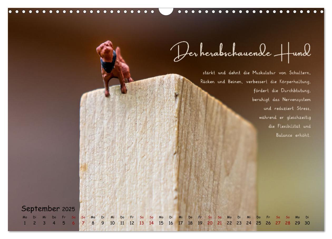 Bild: 9783457173091 | Yoga - Kleine Figur, große Wirkung (Wandkalender 2025 DIN A3 quer),...