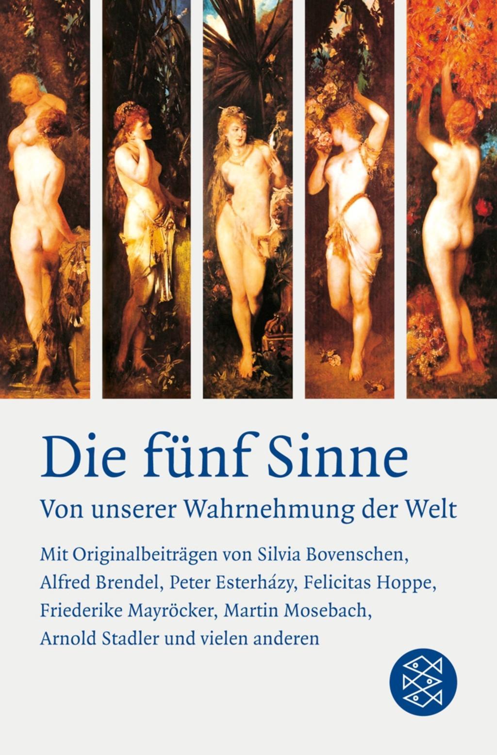 Cover: 9783596179336 | Die fünf Sinne | Von unserer Wahrnehmung der Welt | Anne Hamilton