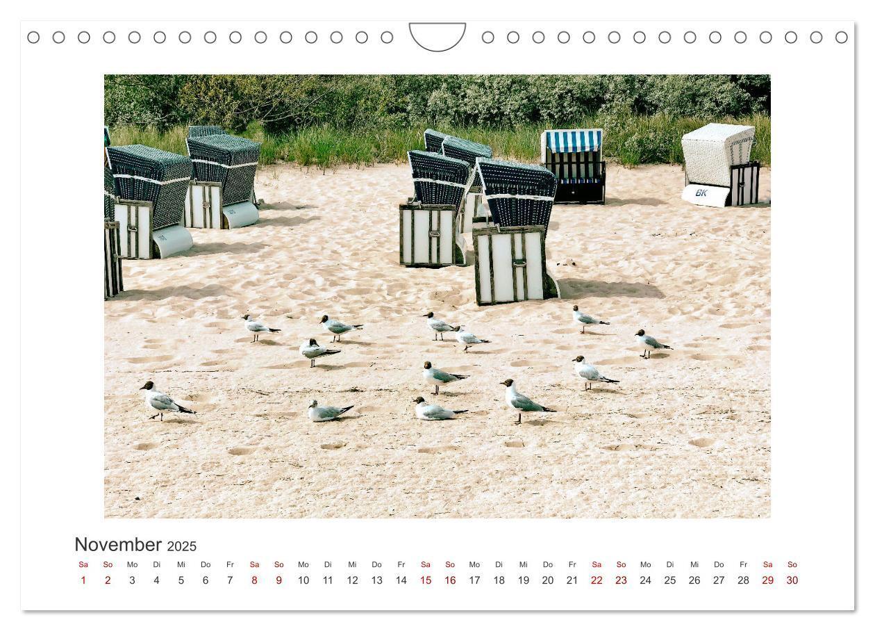 Bild: 9783435032402 | Usedom - ein Traumreiseziel (Wandkalender 2025 DIN A4 quer),...