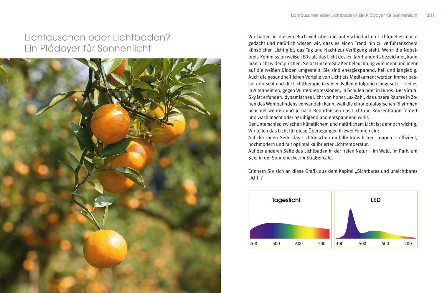 Bild: 9783517097756 | Lichtbaden | Ulrich Bauhofer (u. a.) | Taschenbuch | 216 S. | Deutsch