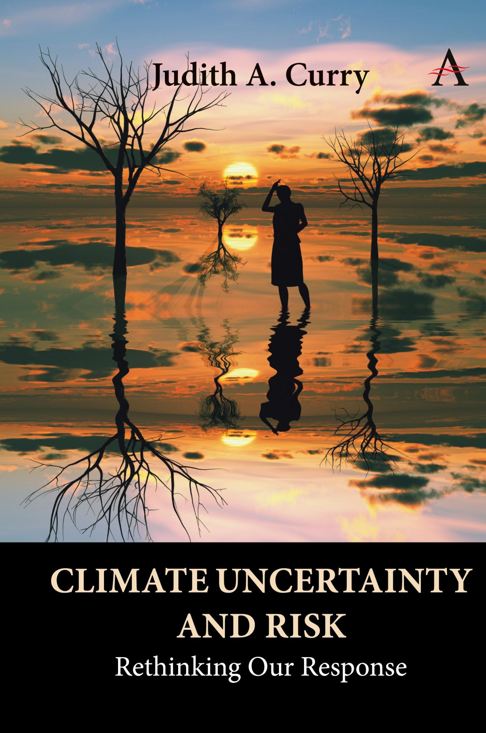 Cover: 9781785278167 | Climate Uncertainty and Risk | Rethinking Our Response | Judith Curry