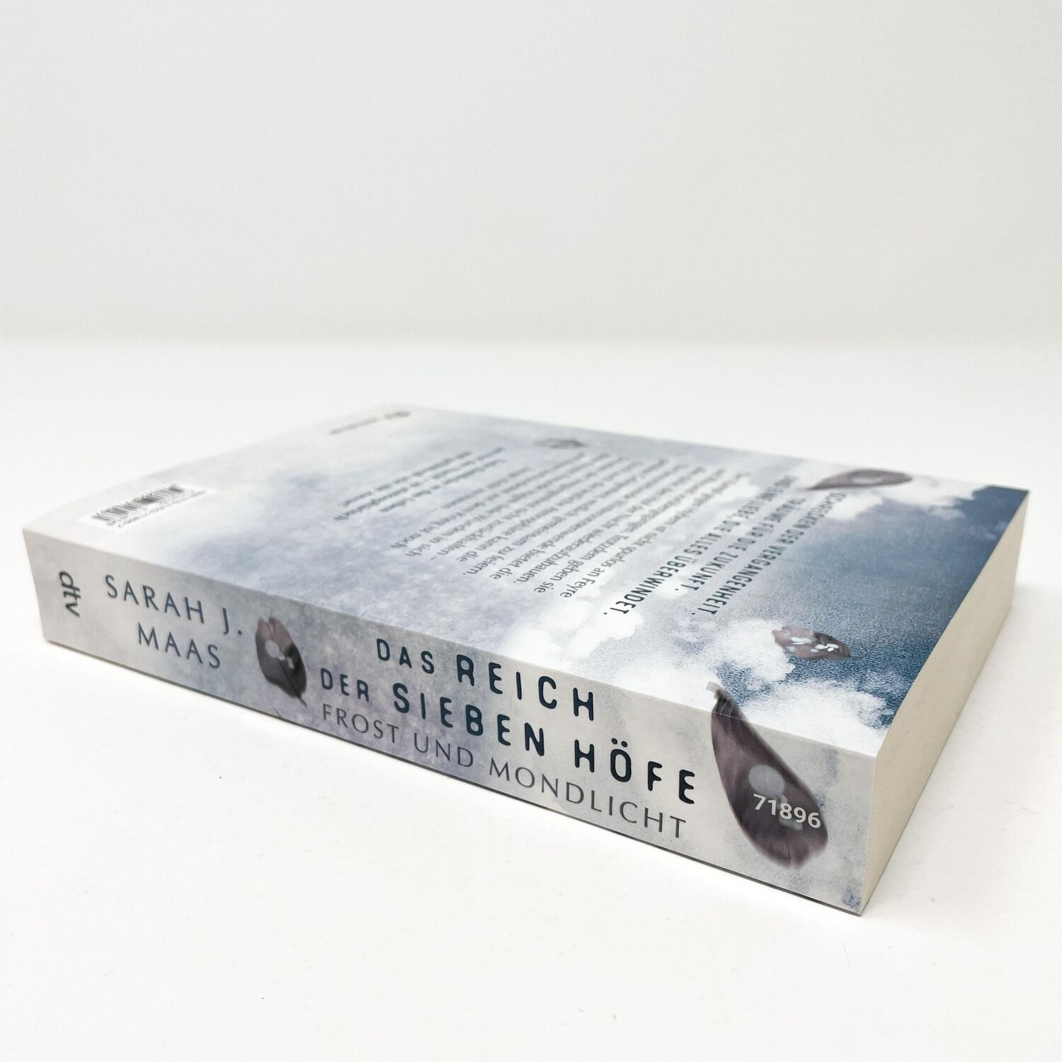 Bild: 9783423718967 | Das Reich der sieben Höfe - Frost und Mondlicht | Sarah J. Maas | Buch