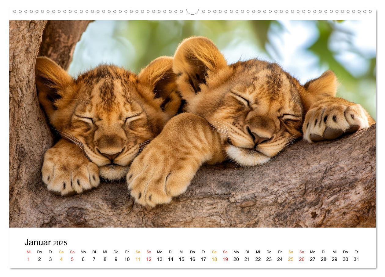 Bild: 9783457233672 | Wenn Tierchen träumen (Wandkalender 2025 DIN A2 quer), CALVENDO...