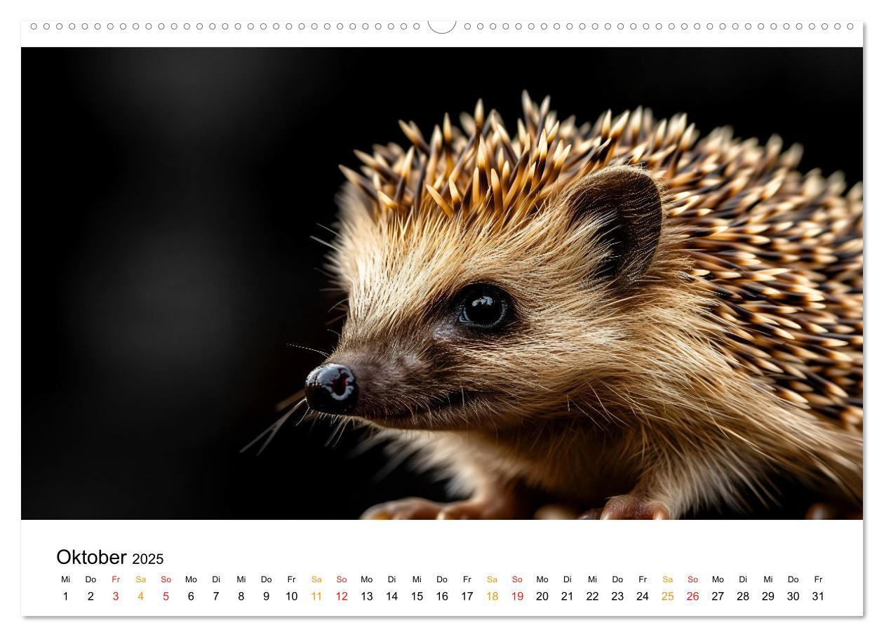 Bild: 9783457223260 | Wilde Heimat - Tiere unserer Natur (Wandkalender 2025 DIN A2 quer),...