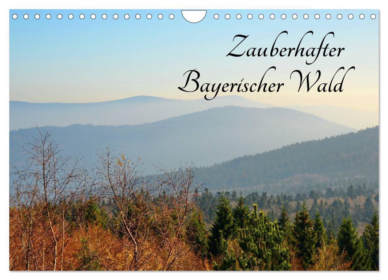 Cover: 9783435520114 | Zauberhafter Bayerischer Wald (Wandkalender 2025 DIN A4 quer),...