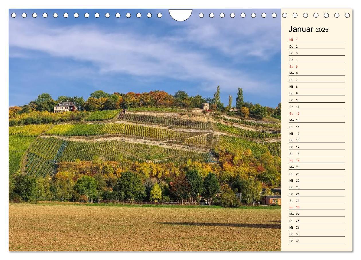 Bild: 9783435508006 | Saale-Unstrut - Region aus Wein und Stein (Wandkalender 2025 DIN A4...